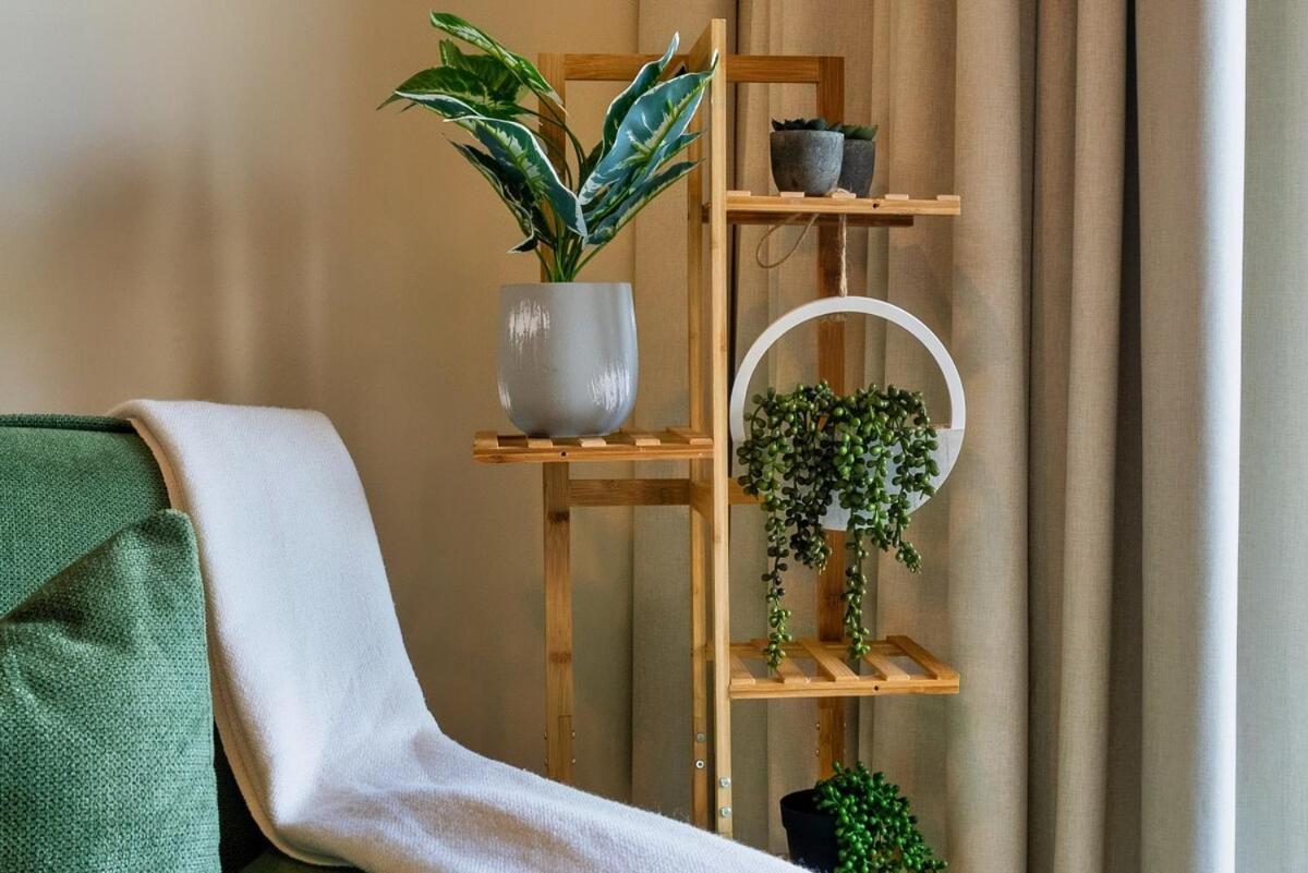 Apartment Nature-themed With 4k Projector *